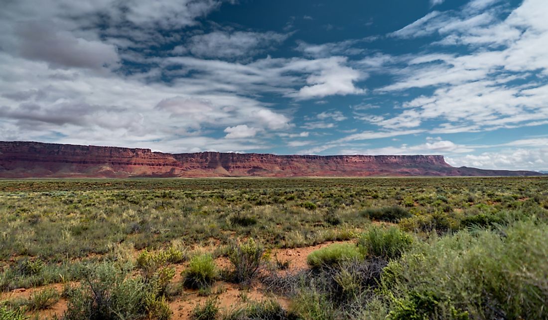 Shrubland in the Colorado Plateau near the Vermillion Cliffs in Arizona.