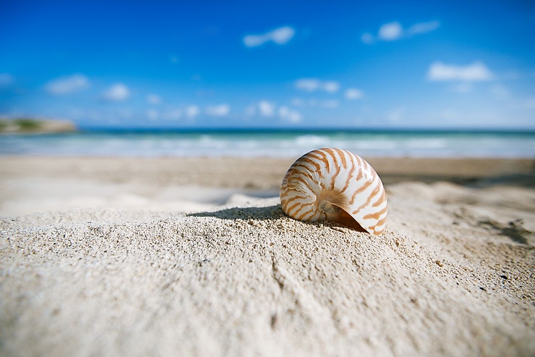 The primary material of many beaches is sand. 