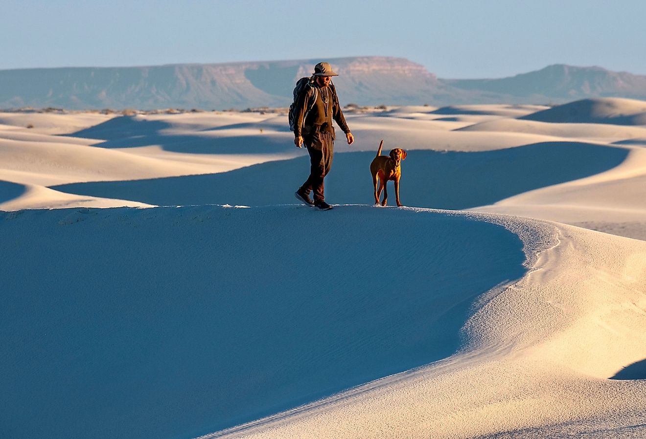 Man and his dog walking on white sand dunes in White Sands. Alamogordo. New Mexico. USA