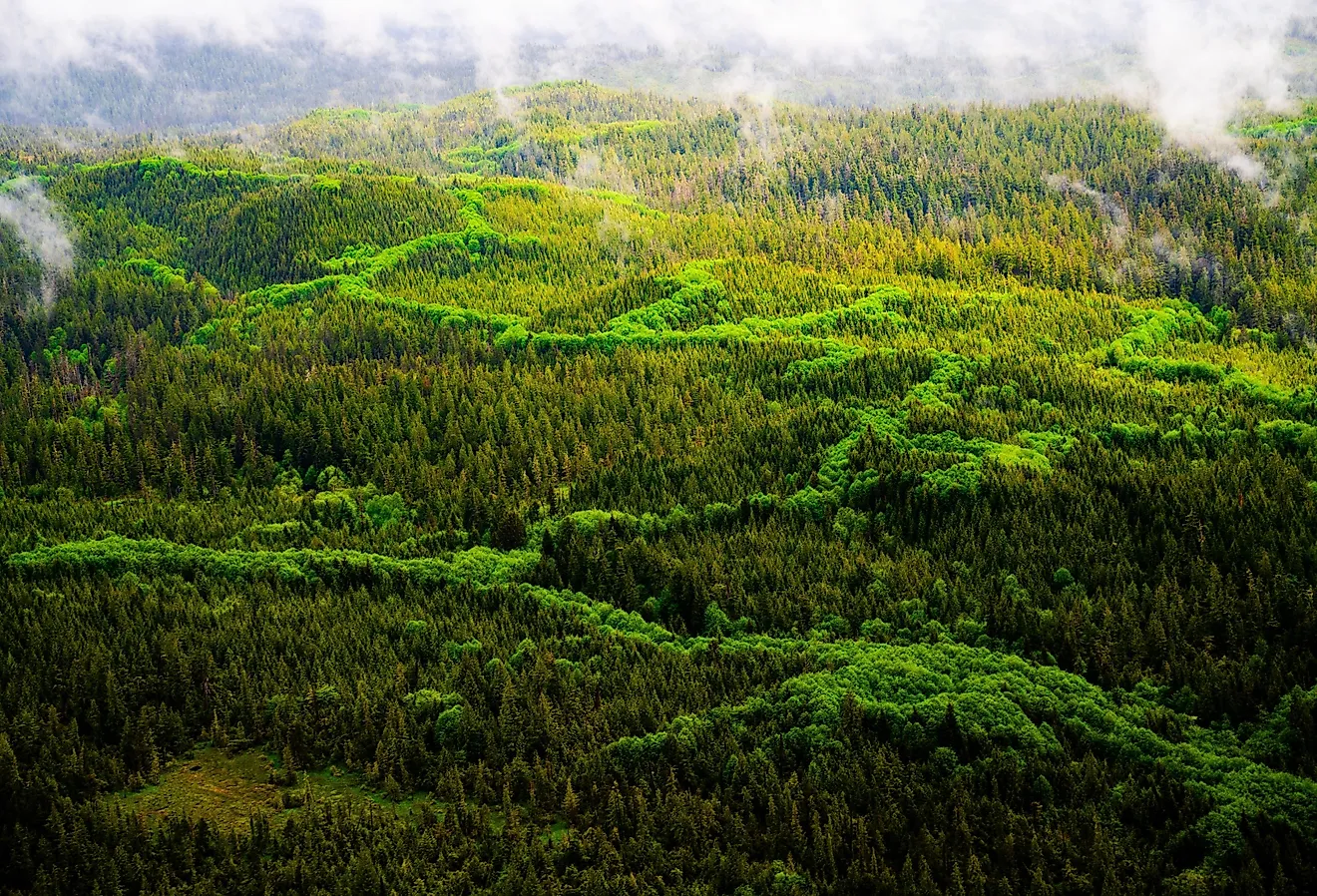 Tongass National Forest from above, which covers nearly 16.7 million acres.