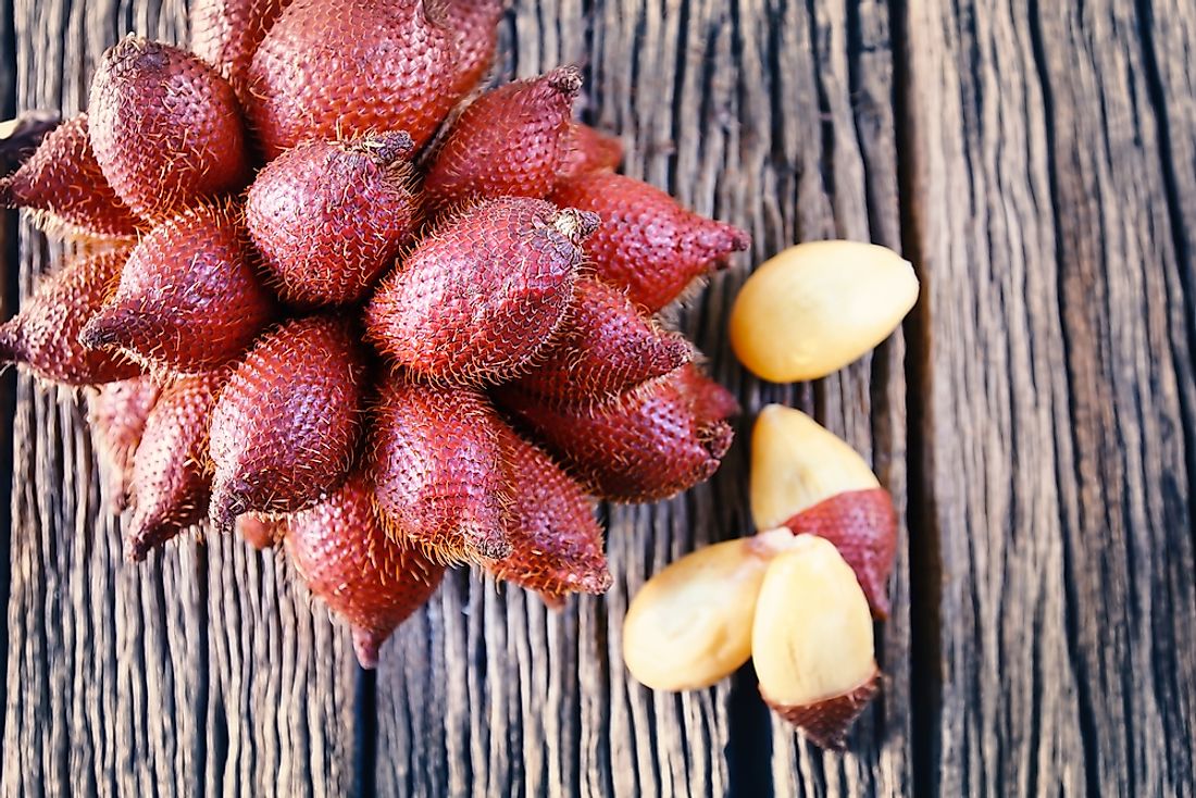 The fruit of the Salak tree is referred to as snake fruit due to its reddish-brown scaly skin. 