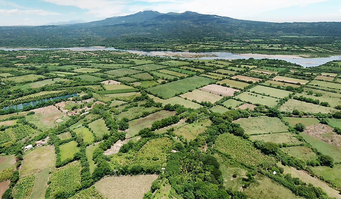 Agriculture is a large industry in El Salvador.