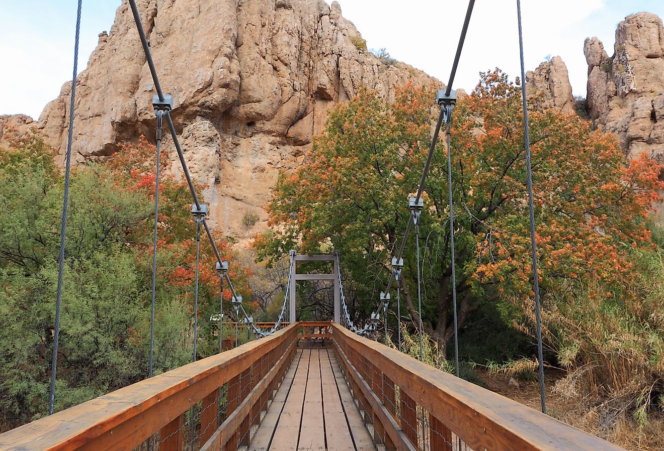 Suspension Bridge at the Boyce Thompson Arboretum, Superior, Arizona, in the fall.