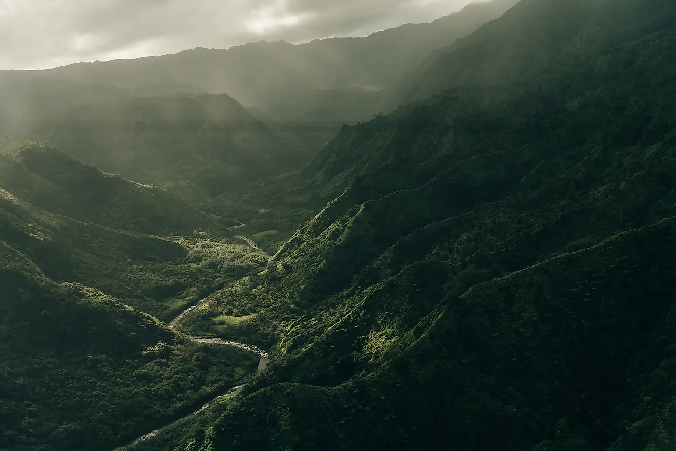 Aerial View of Waimea Canyon State Park, Kauai County, Hawaii, a state park that has no large predators. 