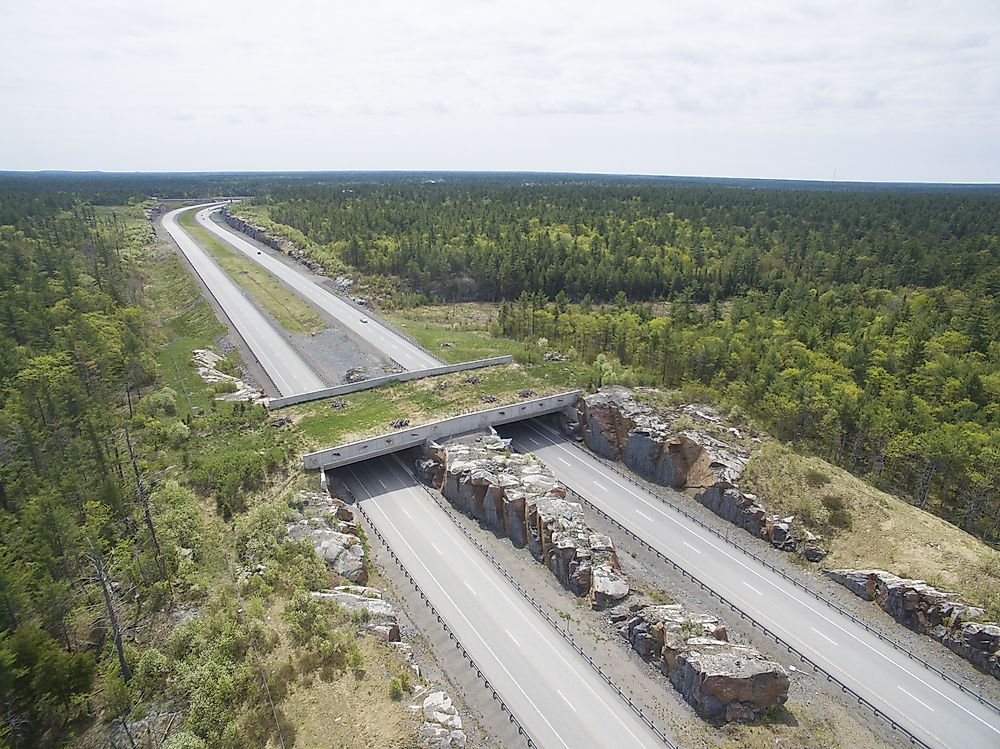 Wildlife Crossing over a highway. 