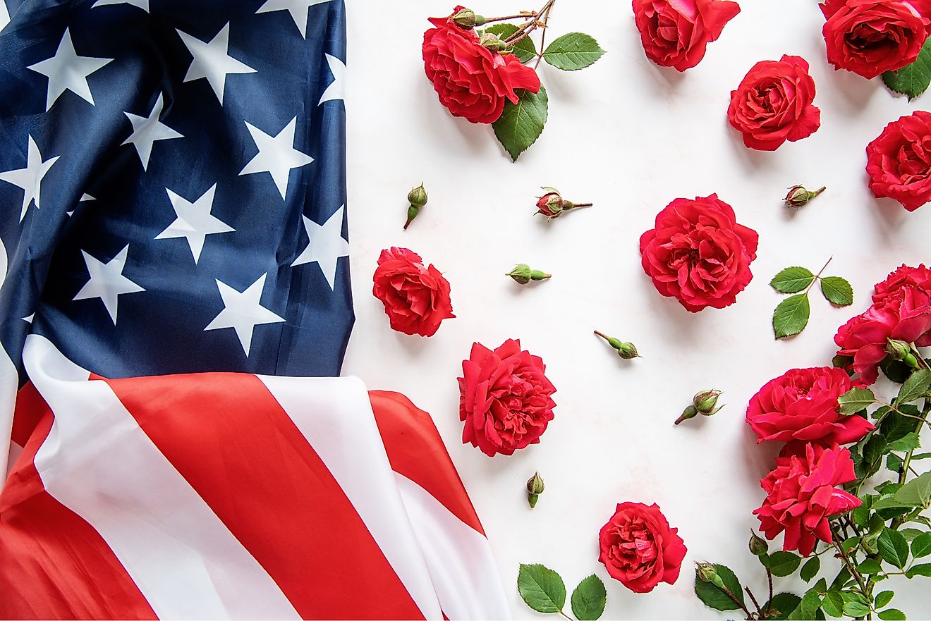 What Is The National Flower Of Usa