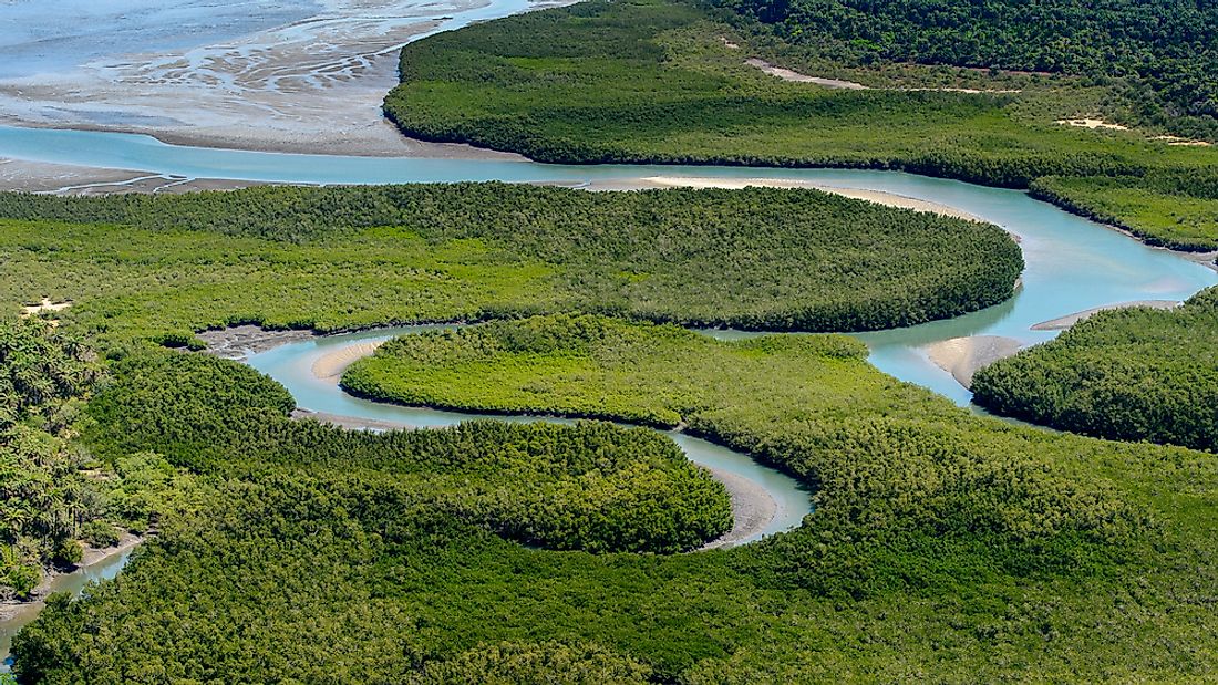 An aerial view of the forests of Guinea-Bissau. 