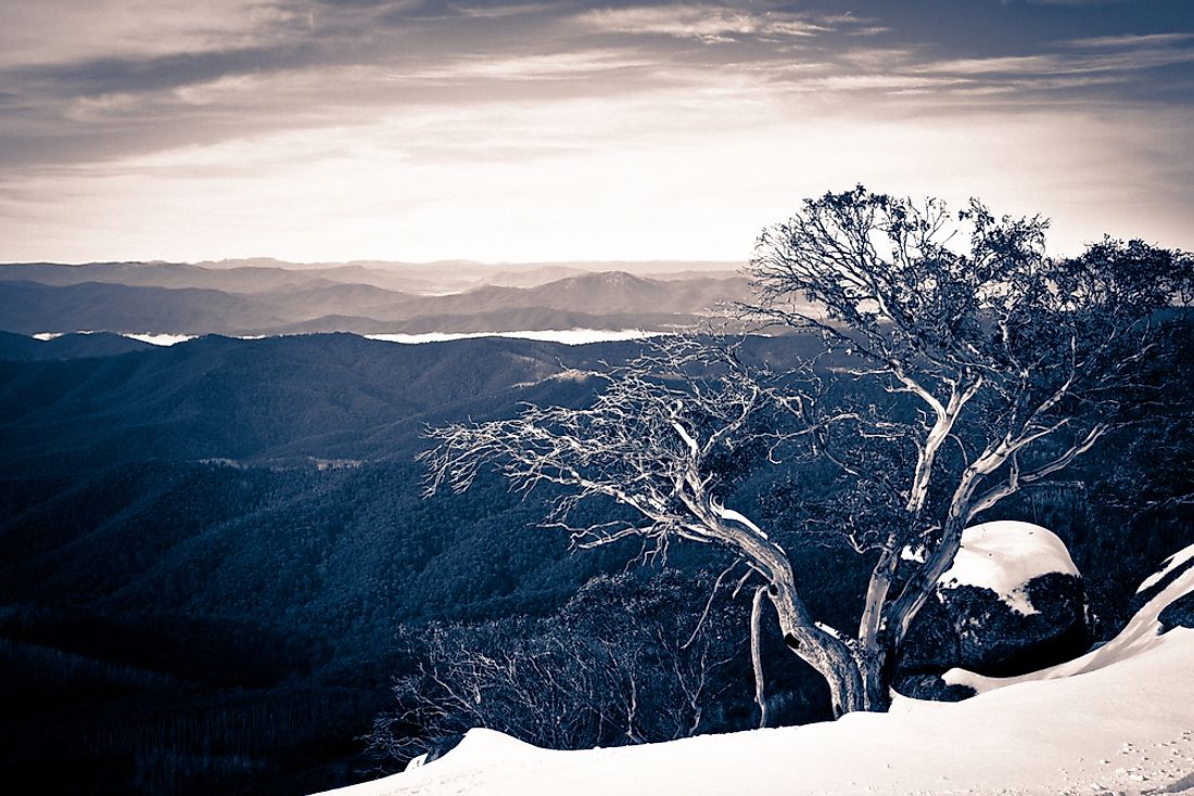 Winter in Victoria, Australia. 