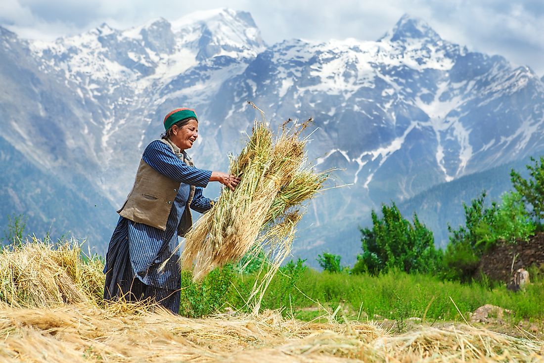 A Tibetan woman. 