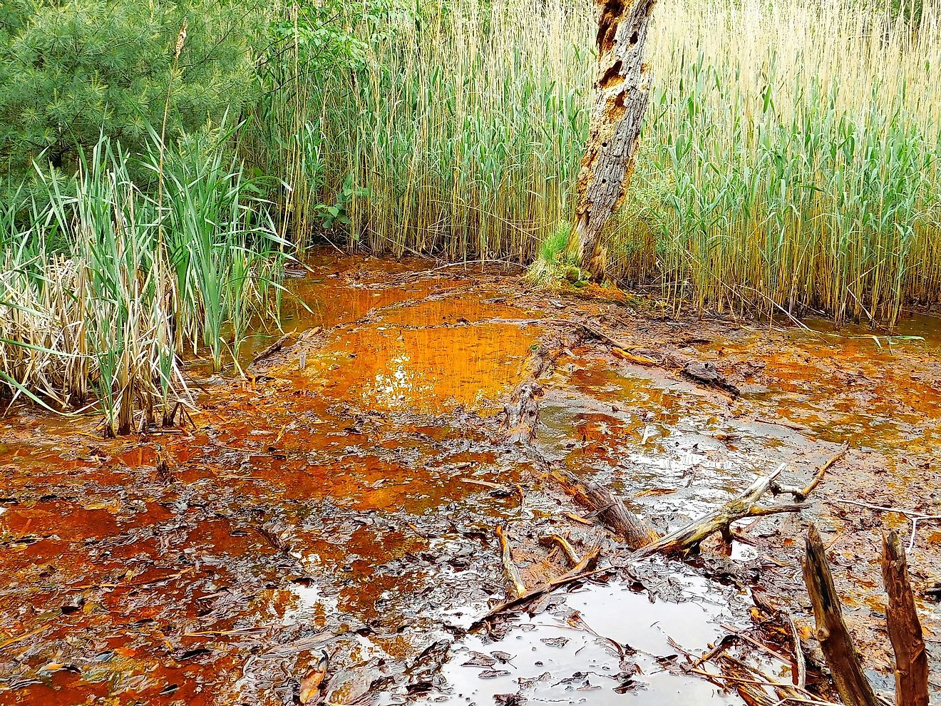 The water gets badly polluted by acid mine drainage.