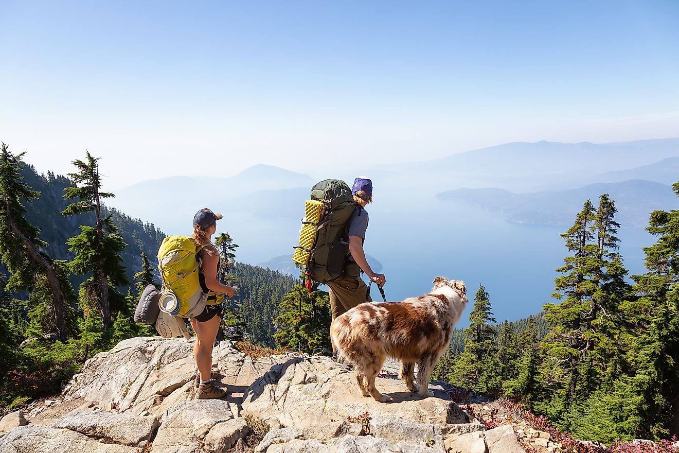 A couple hiking with their dog in British Columbia.