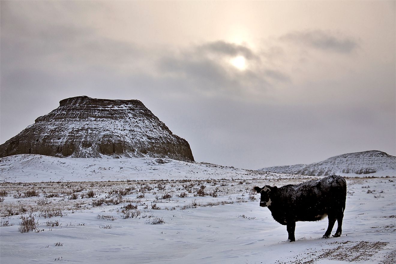 Winter Scene at Saskatchewan Badlands in the Big Muddy Valley. Image credit: Pictureguy/Shutterstock.com