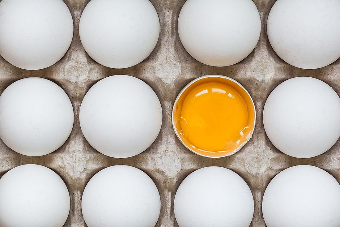 Chicken eggs are a versatile cuisine addition. 