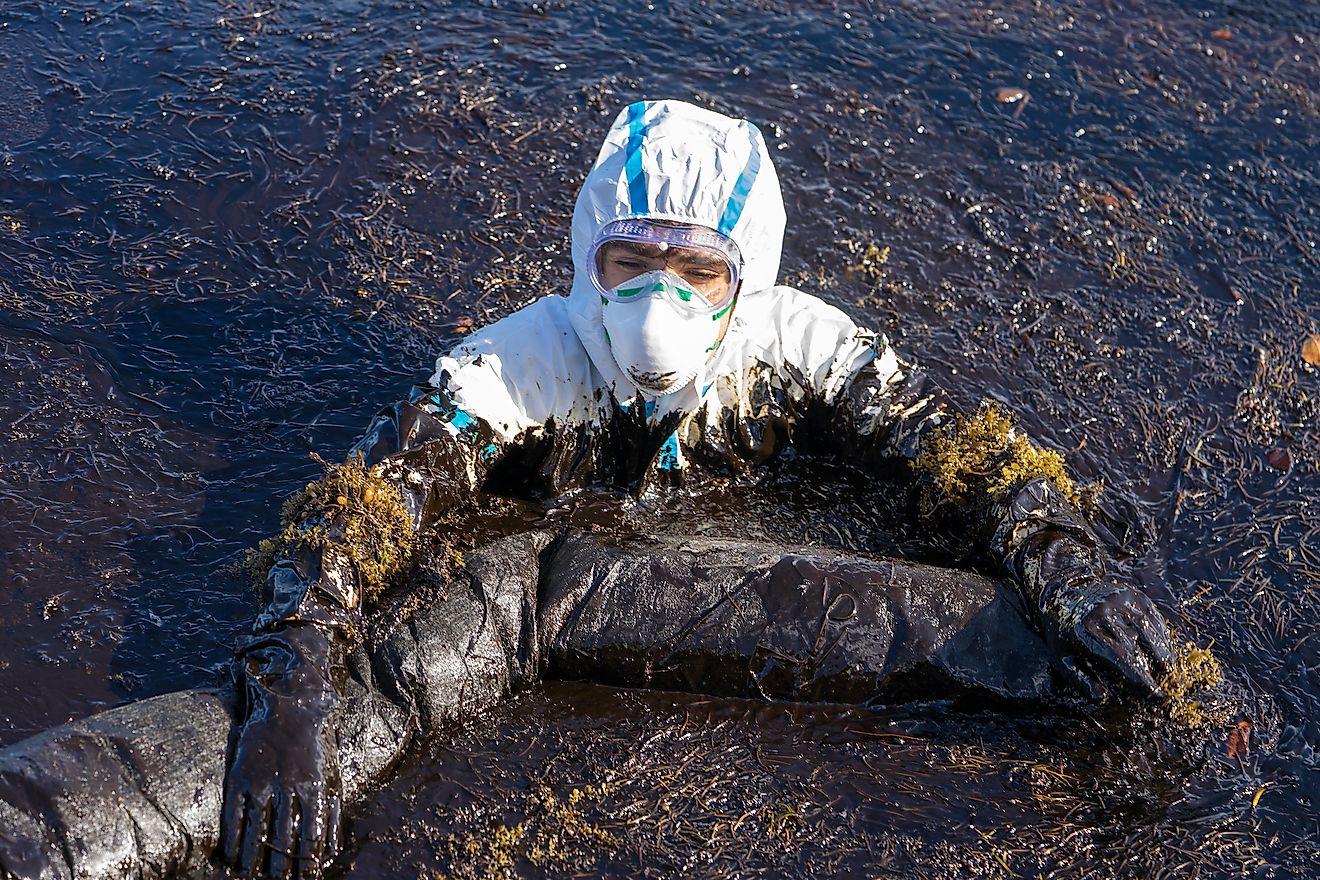 Volunteers clean the ocean coast from oil after a tanker wreck in Mauritius.