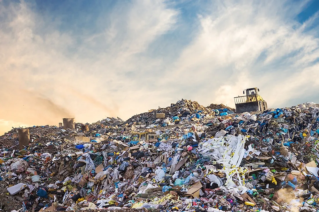 Garbaging collecting in a landfill. 