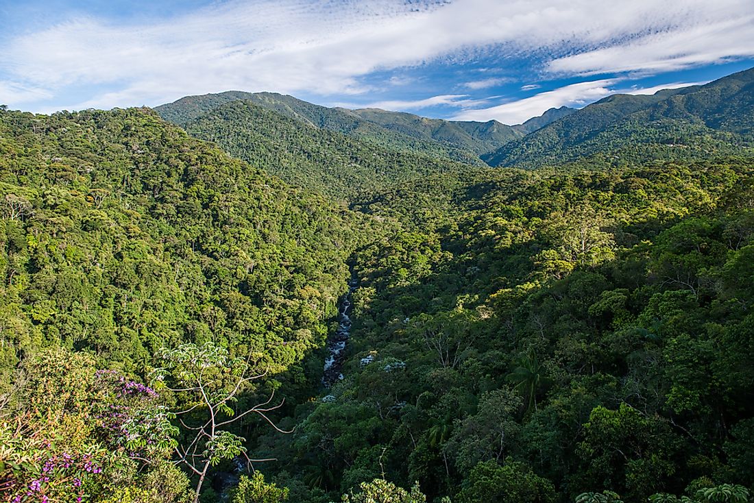 The Biodiversity Hotspot of the Atlantic Forest - WorldAtlas