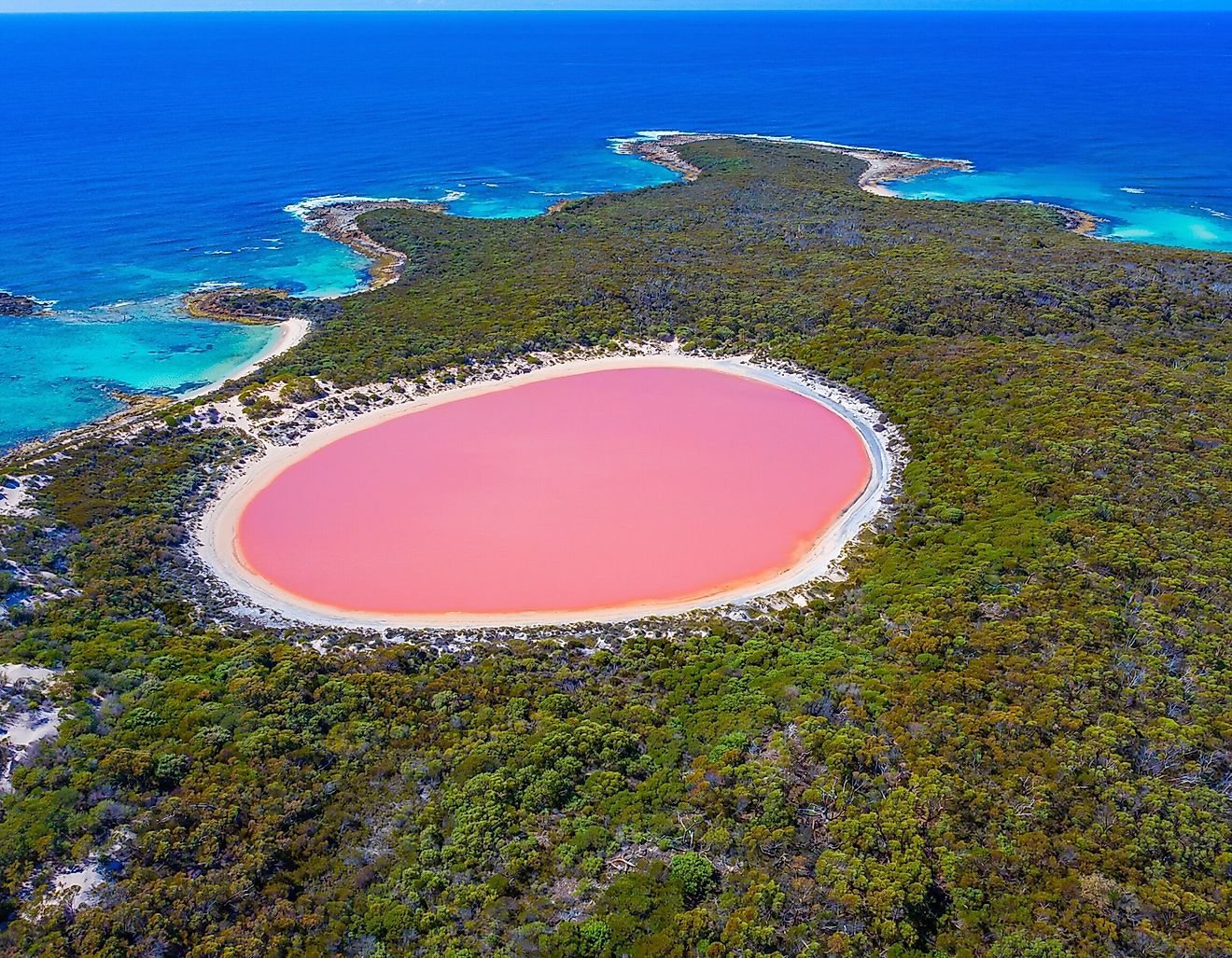 Lake Hillier on Middle Island in Western Australia is famous for its striking pink-colored water. 