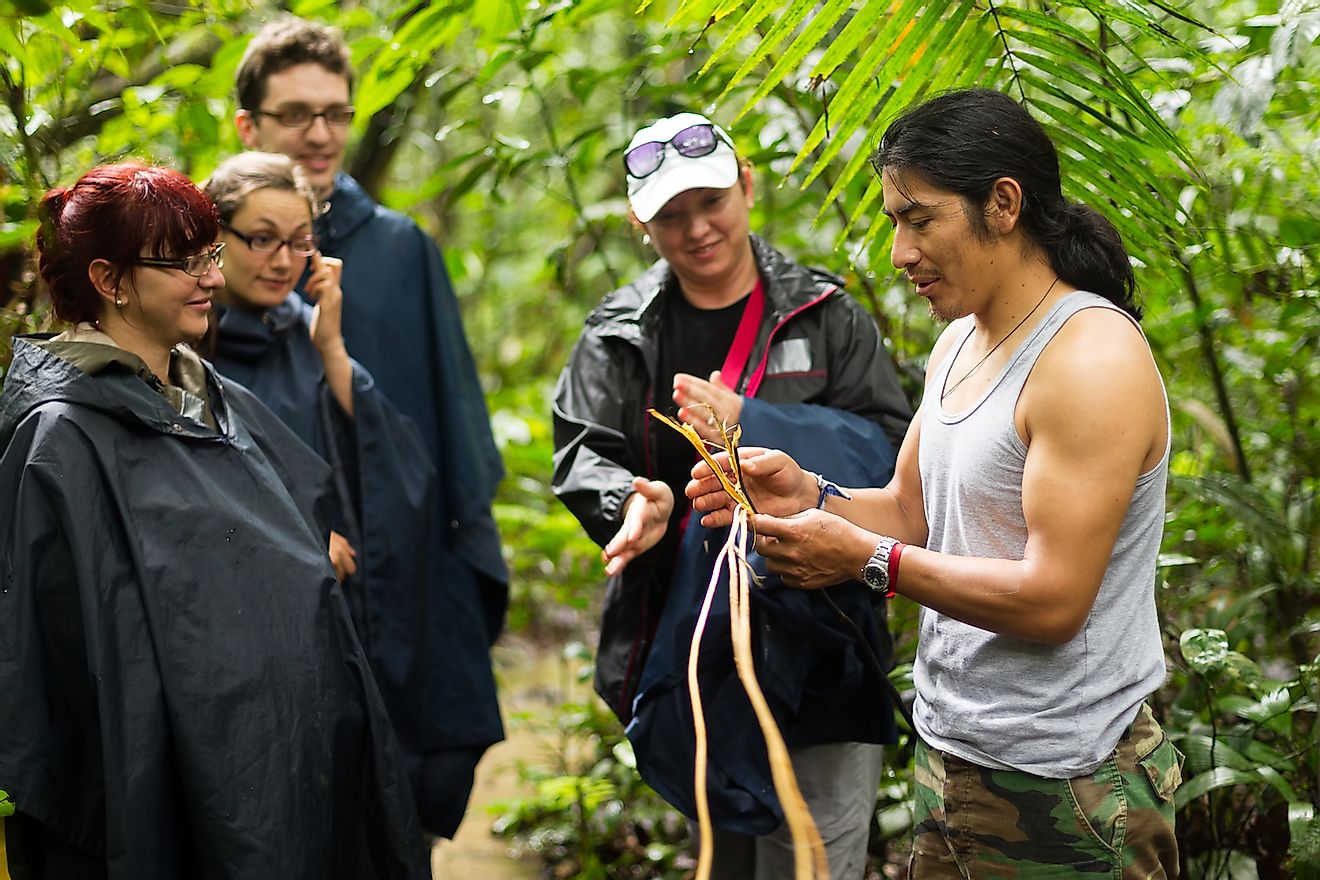 Visitors learning about local fauna and flora from a naturalist in the Amazon forest. Image credit: Ammit Jack/Shutterstock.com