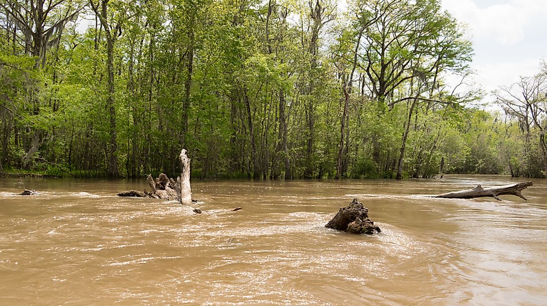 The Pearl River in Mississippi. 