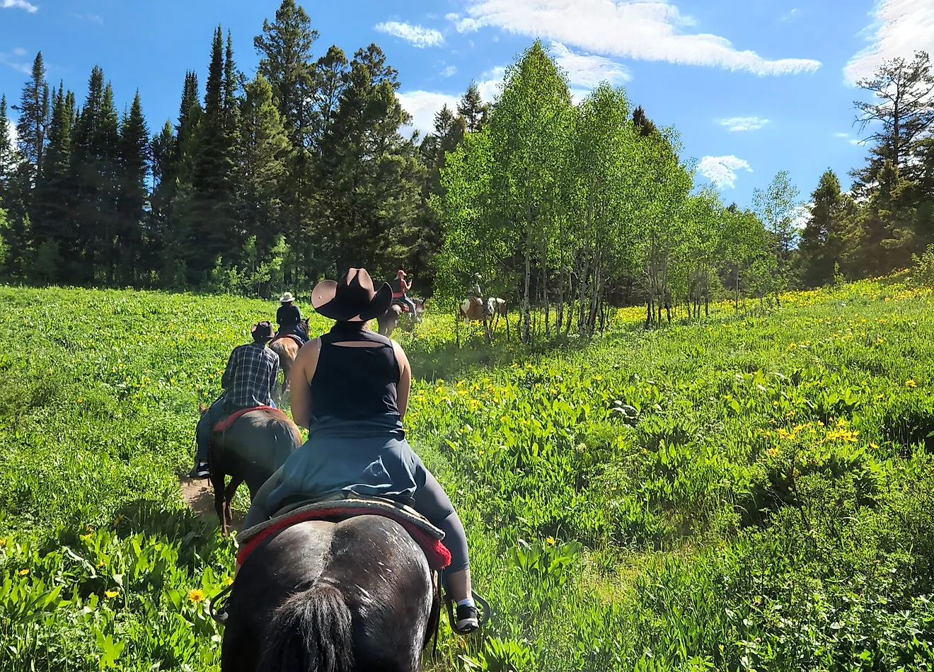 Horseback riding in Wyoming.