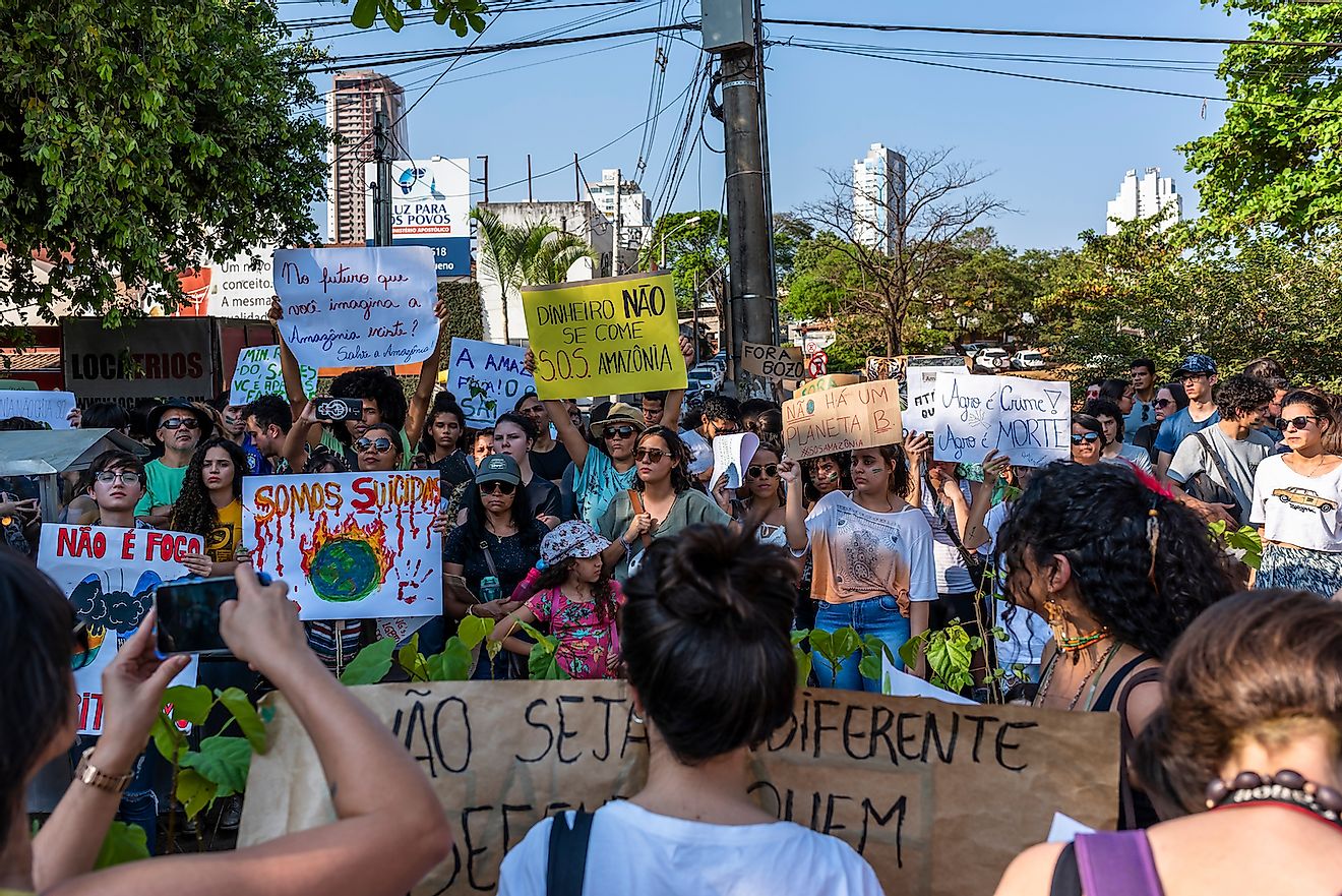 A crowd holds up the posters written in Portuguese language to protest to protect Amazon forest in Goiania, Goias/Brazil. Image credit: Hpoliveira/Shutterstock.com
