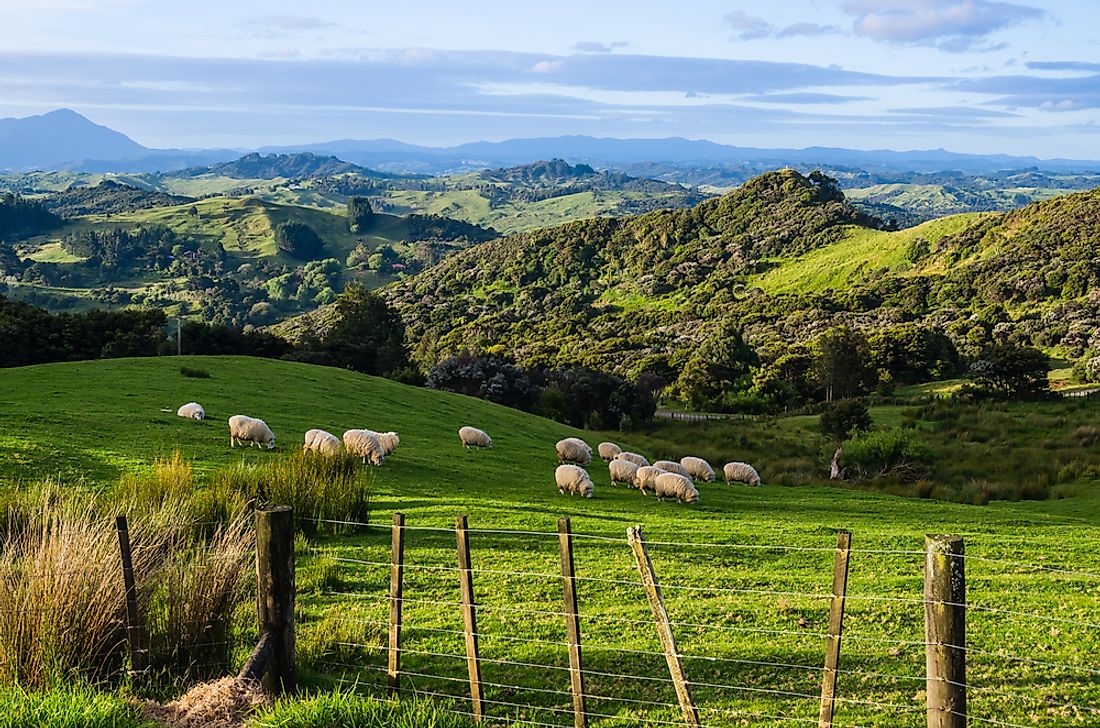 Agriculture is a major industry in New Zealand. 