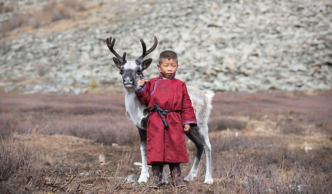 A Tsaatan child posing with baby reindeer in Khuvsgul, Mongolia.