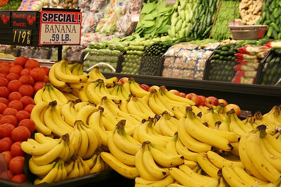 Bananas for sale in a grocery store in the United States. 