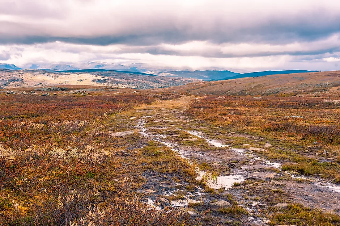 A moorland in Scotland, United Kingdom. 