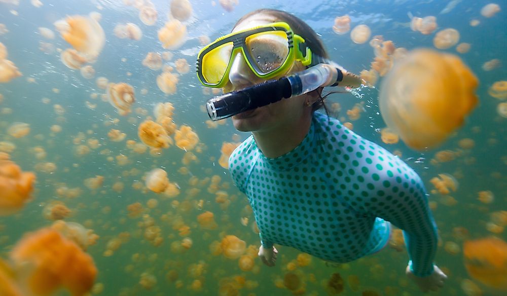 Tourists are attracted by Palau's marine diversity.