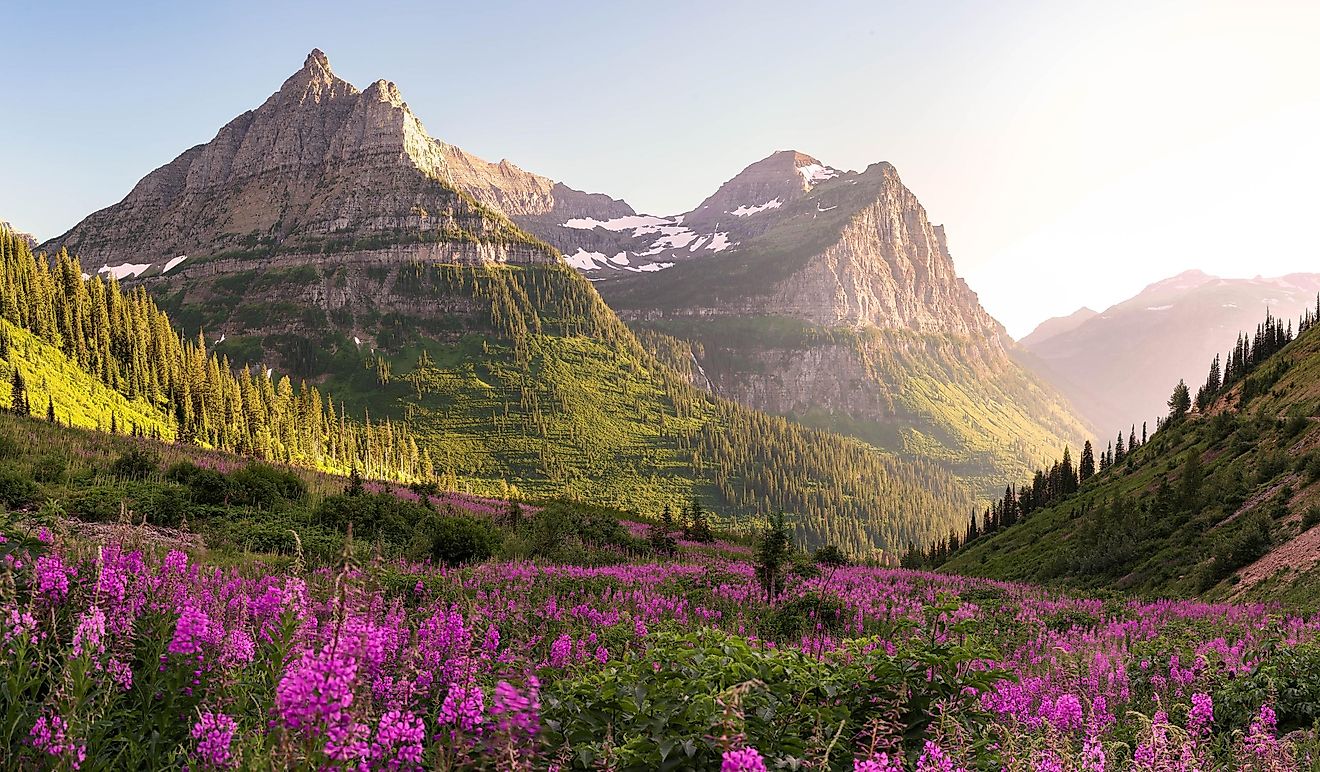 Glacier National Park.