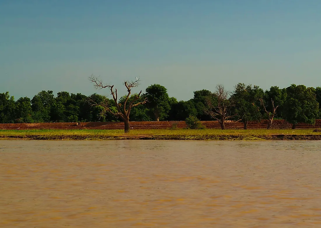 The Niger River near Niamey. 