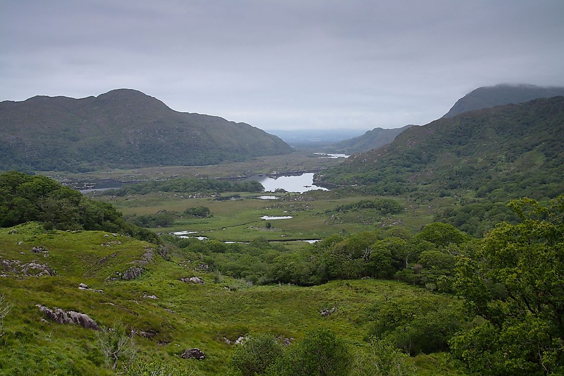 Killarney National Park, Ireland. 