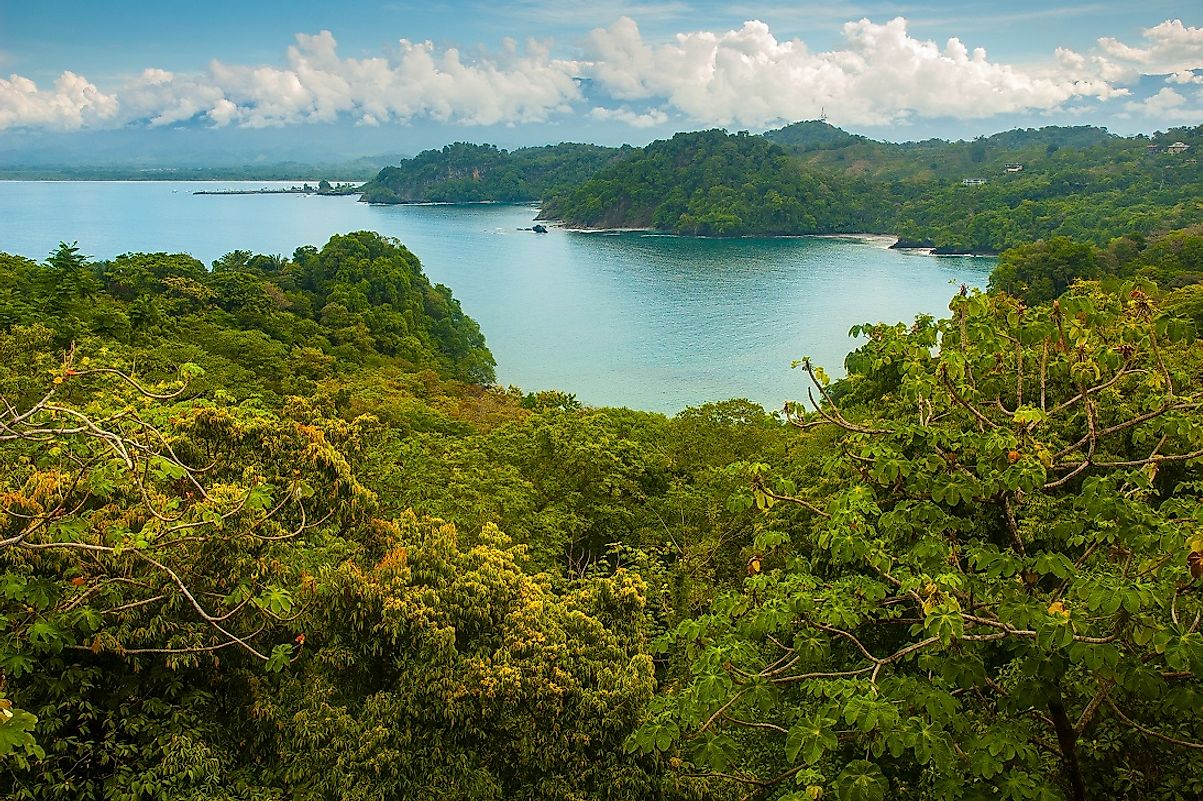 Tropical forests border the beautiful Pacific coastline in Parque Nacional Manuel Antonio.
