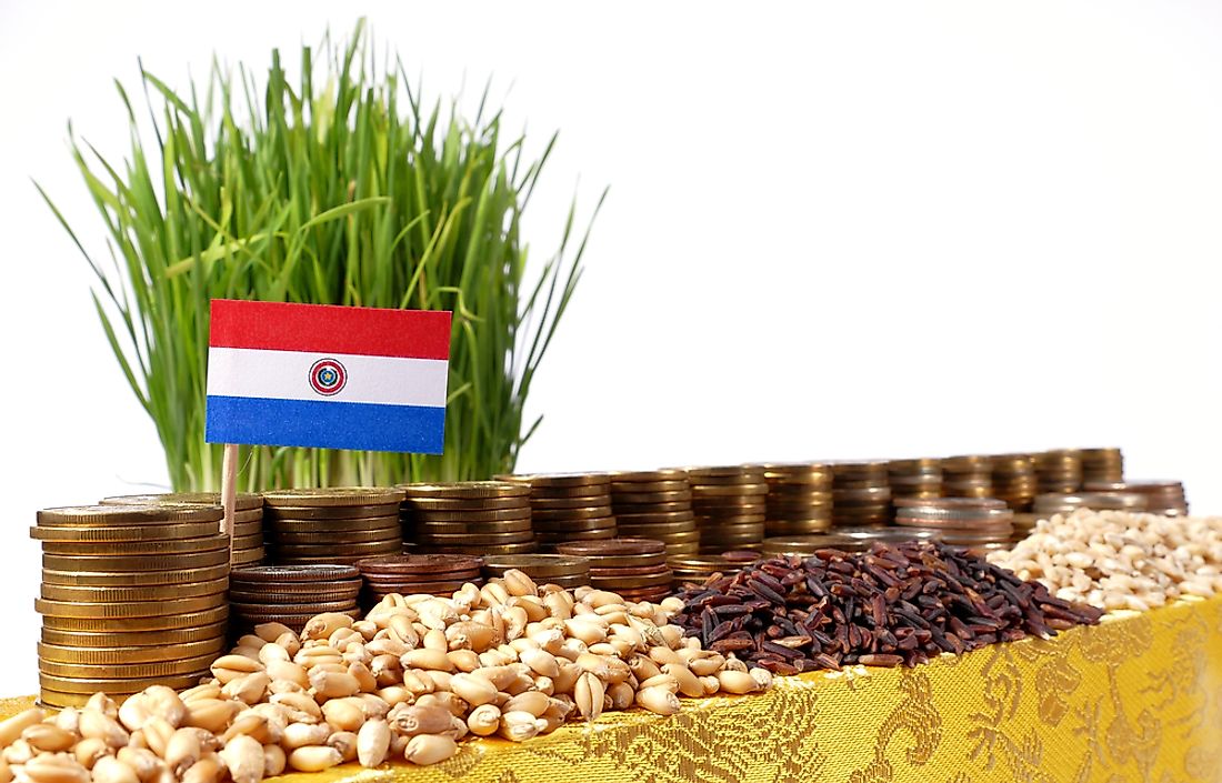 Agriculture makes up about 20% of Paraguay's yearly gross domestic product.