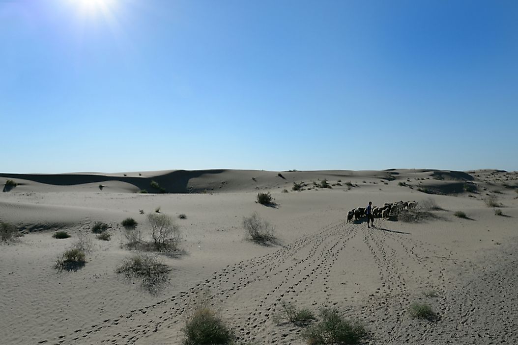 The Karakum Desert in Karakalpakstan, Uzbekistan.