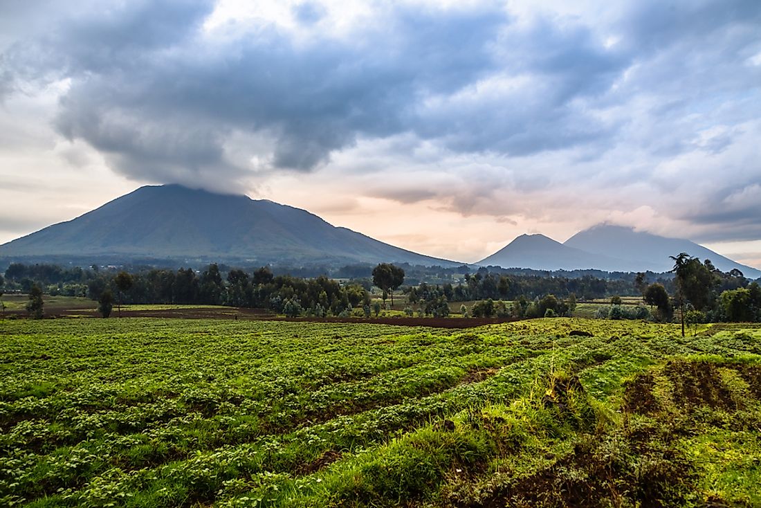 Volcanoes provide rich soil for agriculture. 