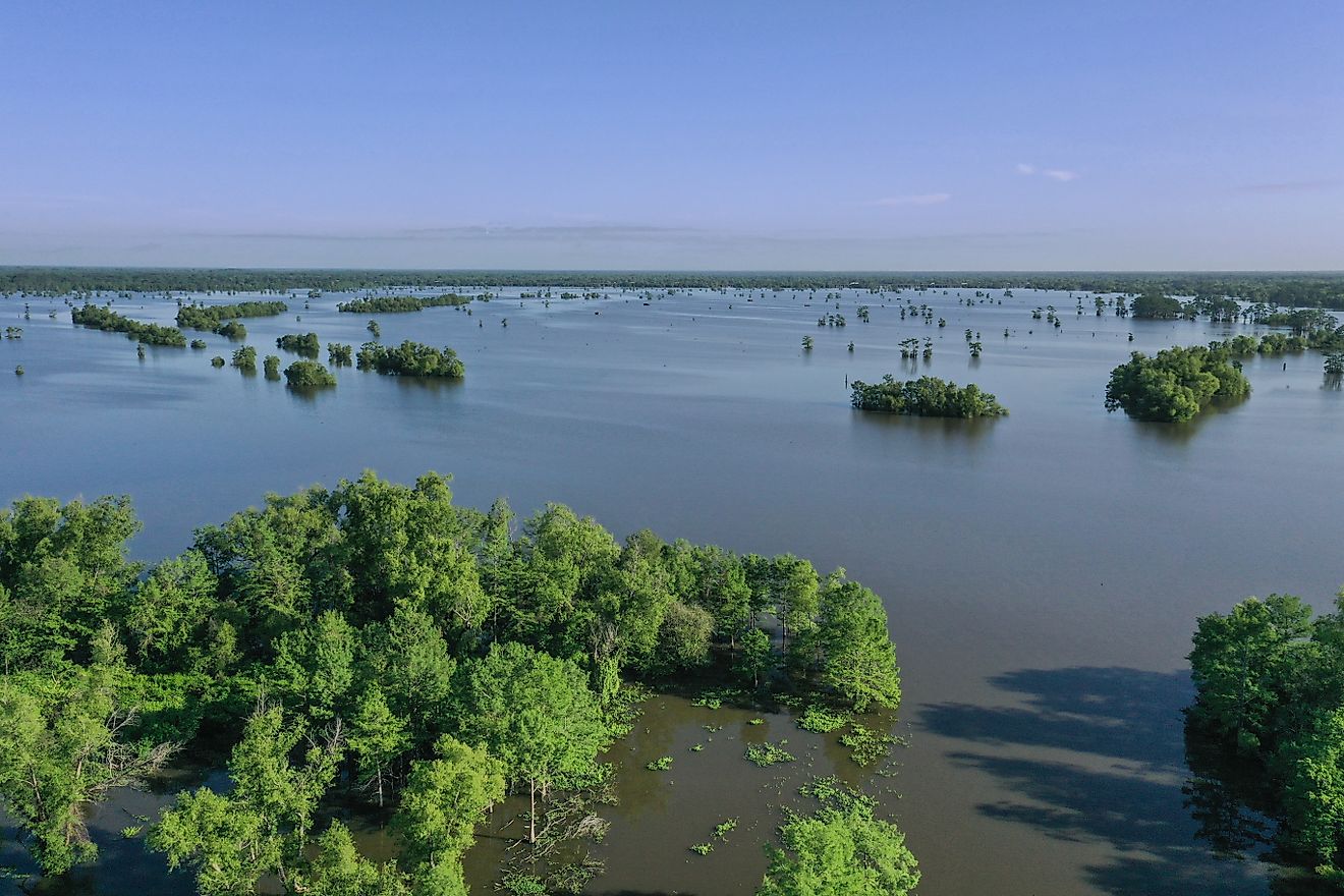 Aeareal view over flooded area of Atchafalaya Basin.