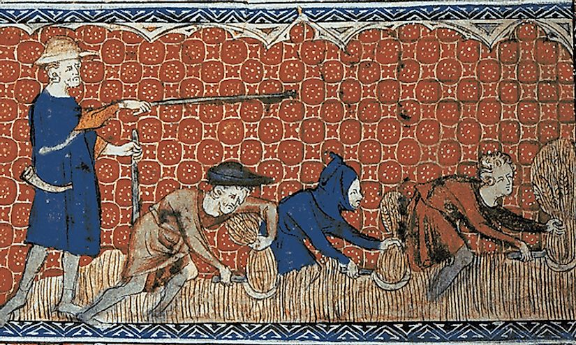 Depiction of socage on the royal demesne in feudal England, c. 1310
