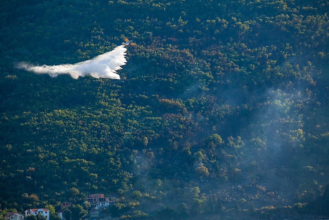 Although fireplans, such as the one pictured here, are often used to fight forest fires, windy conditions can make their deployment difficult. Photo credit: shutterstock.com.