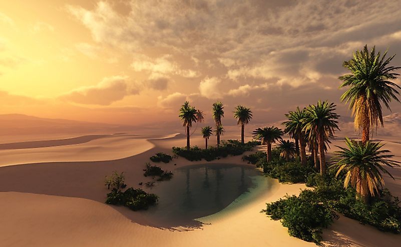 An oasis sustains life in an otherwise harsh and unforgiving desert environment.