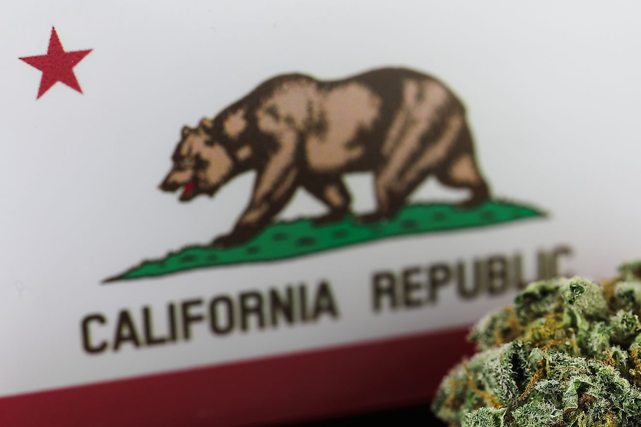 Frosty medical cannabis and flag of California background. Editorial credit: Kazyaka Konrad / Shutterstock.com