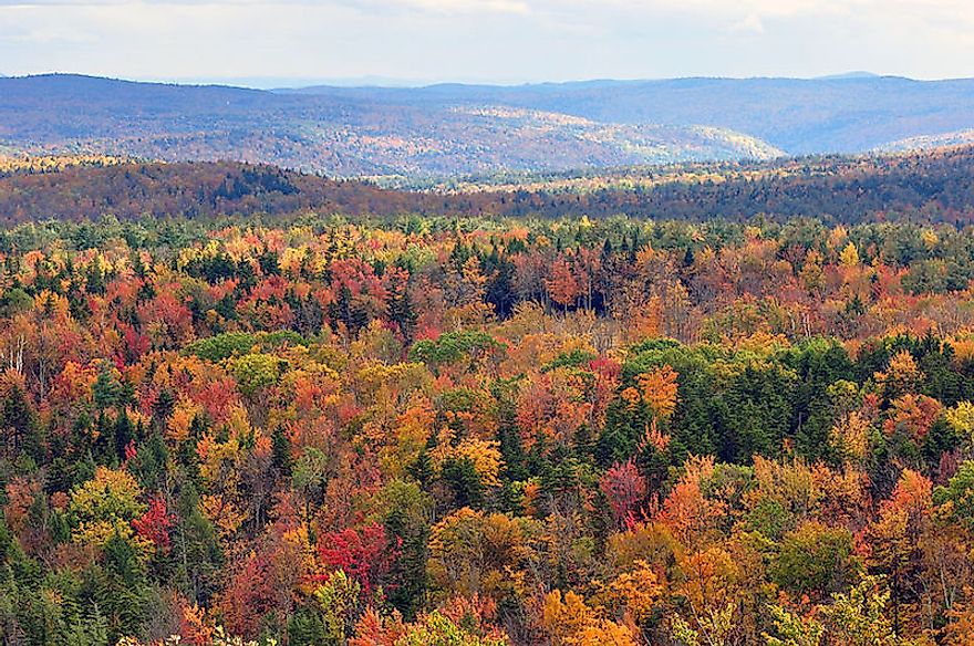 Fall foliage of the Eastern Temperate Forests