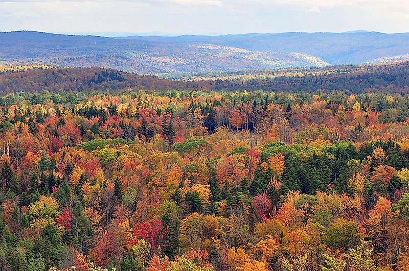 Fall foliage of the Eastern Temperate Forests