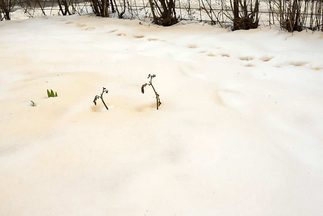 Eastern Europe experienced orange snowfall in March 2018. 