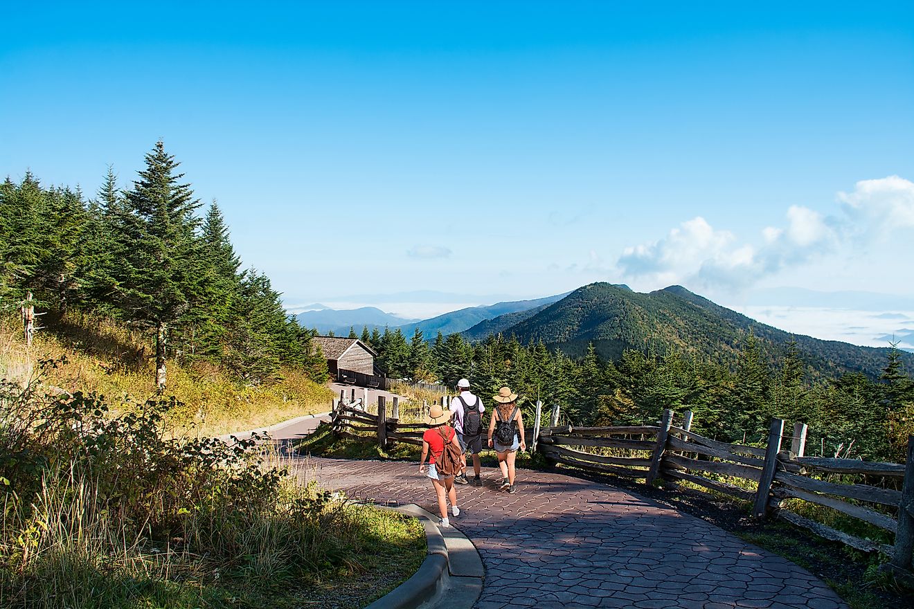 Family hiking on vacation in the mountains of Mount Mitchell State Park, North Carolina.