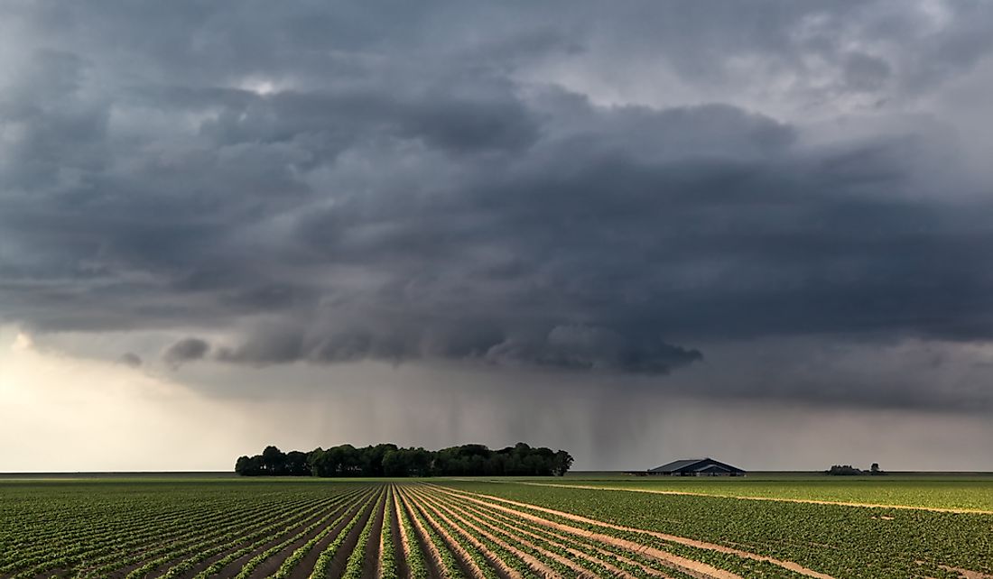 The Netherlands experiences an average rainfall of 31 inches a year.