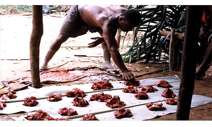 Meat sharing by Mbendjele hunter-gatherers is an example of a primitive communist practice.