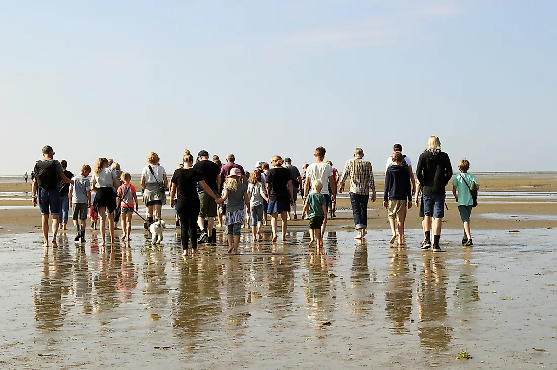 Mudflat hiking the tidal flats of the Wadden Sea. Editorial credit: Anna50 / Shutterstock.com