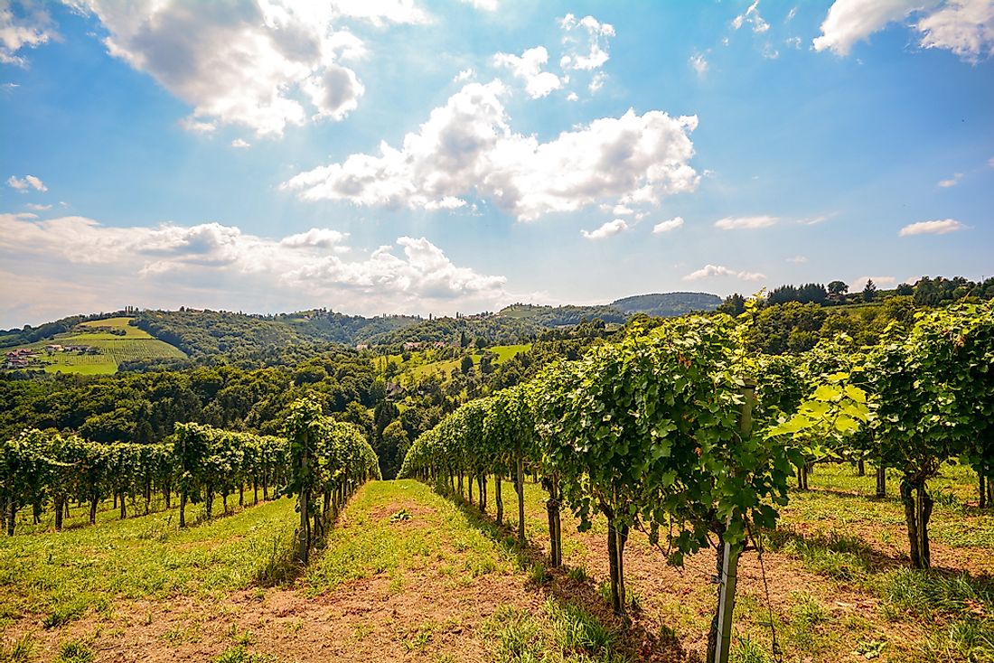 Vineyards in Austria. Food and drink is an important part of Austria's economy. 